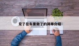 见了在车里做了的简单介绍