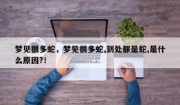 梦见很多蛇，梦见很多蛇,到处都是蛇,是什么原因?！