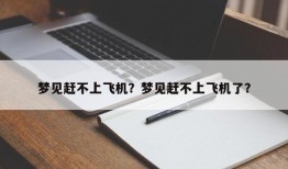 梦见赶不上飞机？梦见赶不上飞机了？