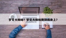 梦见大蜘蛛？梦见大蜘蛛爬到我身上？