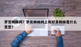 梦见蜘蛛网？梦见蜘蛛网上有好多蜘蛛是什么意思？