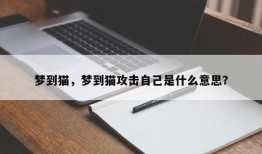 梦到猫，梦到猫攻击自己是什么意思？