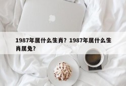 1987年属什么生肖？1987年属什么生肖属兔？