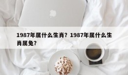 1987年属什么生肖？1987年属什么生肖属兔？