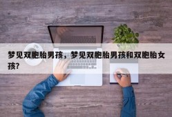 梦见双胞胎男孩，梦见双胞胎男孩和双胞胎女孩？
