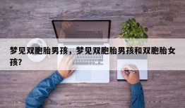 梦见双胞胎男孩，梦见双胞胎男孩和双胞胎女孩？