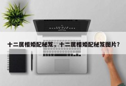 十二属相婚配秘笈，十二属相婚配秘笈图片？