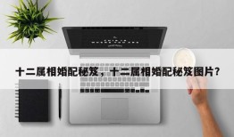十二属相婚配秘笈，十二属相婚配秘笈图片？