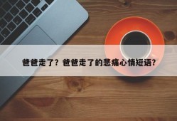 爸爸走了？爸爸走了的悲痛心情短语？