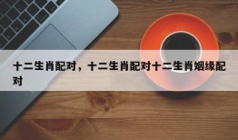 十二生肖配对，十二生肖配对十二生肖姻缘配对