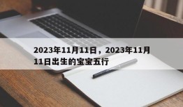 2023年11月11日，2023年11月11日出生的宝宝五行