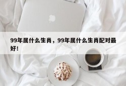 99年属什么生肖，99年属什么生肖配对最好！