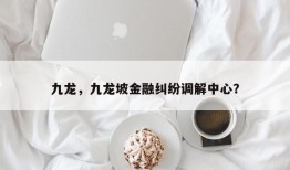 九龙，九龙坡金融纠纷调解中心？