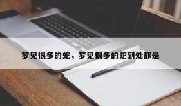 梦见很多的蛇，梦见很多的蛇到处都是