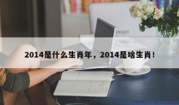 2014是什么生肖年，2014是啥生肖！