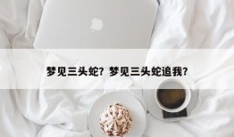 梦见三头蛇？梦见三头蛇追我？