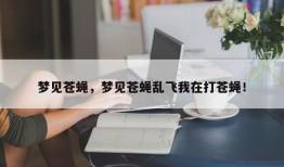 梦见苍蝇，梦见苍蝇乱飞我在打苍蝇！