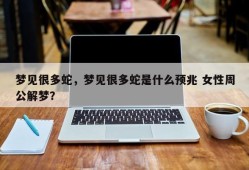 梦见很多蛇，梦见很多蛇是什么预兆 女性周公解梦？