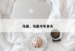 马属，马属今年多大