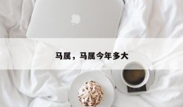马属，马属今年多大