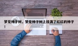 梦见柿子树，梦见柿子树上挂满了红红的柿子！