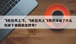 飞机在天上飞，飞机在天上飞突然没油了什么先掉下来脑筋急转弯？
