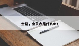 金鼠，金鼠命是什么命！