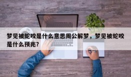 梦见被蛇咬是什么意思周公解梦，梦见被蛇咬是什么预兆？