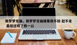 做梦梦见猫，做梦梦见猫缠着我不放 赶不走 最后还咬了我一口