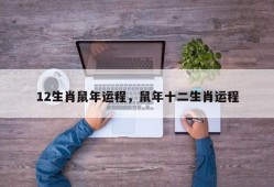 12生肖鼠年运程，鼠年十二生肖运程