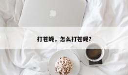 打苍蝇，怎么打苍蝇？