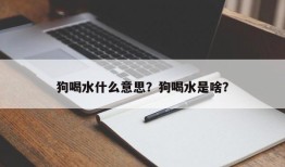 狗喝水什么意思？狗喝水是啥？