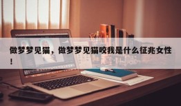 做梦梦见猫，做梦梦见猫咬我是什么征兆女性！