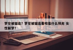 梦见被猫追？梦见被猫追着咬是什么预兆 女性解梦？