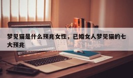 梦见猫是什么预兆女性，已婚女人梦见猫的七大预兆
