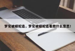 梦见被蟒蛇追，梦见被蟒蛇追着跑什么意思！