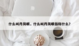 什么叫丹凤眼，什么叫丹凤眼俗称什么？