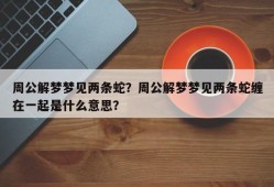 周公解梦梦见两条蛇？周公解梦梦见两条蛇缠在一起是什么意思？