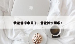 我爸爸掉水里了，爸爸掉水里啦！