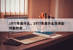 1977年属什么，1977年属什么生肖配对最好命