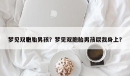 梦见双胞胎男孩？梦见双胞胎男孩尿我身上？