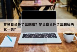 梦见自己怀了三胞胎？梦见自己怀了三胞胎两女一男？