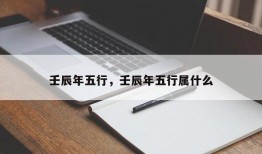 壬辰年五行，壬辰年五行属什么