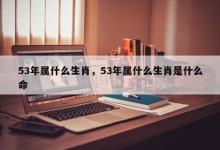 53年属什么生肖，53年属什么生肖是什么命