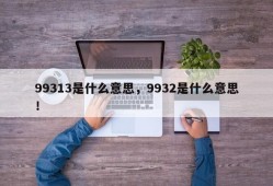 99313是什么意思，9932是什么意思！