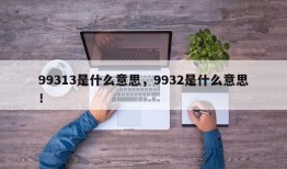 99313是什么意思，9932是什么意思！