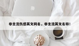 非主流伤感英文网名，非主流英文名称！