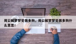 周公解梦梦见很多狗，周公解梦梦见很多狗什么意思！