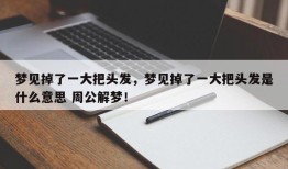 梦见掉了一大把头发，梦见掉了一大把头发是什么意思 周公解梦！