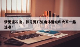 梦见泥石流，梦见泥石流山体滑坡和大家一起逃难！